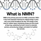 NMN Capsules